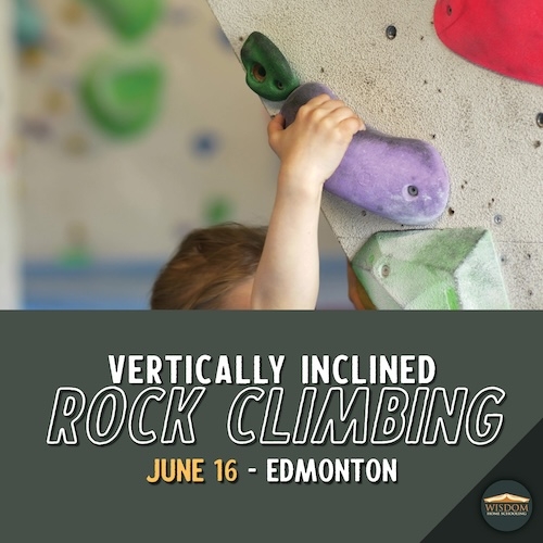 Indoor Rock Wall Climbing - Edmonton T <span>E1096</span>
